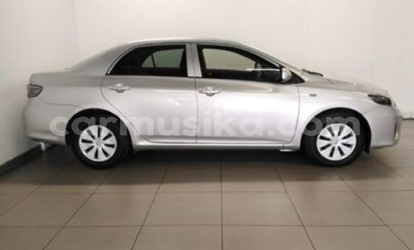 Tenga Tsaru Toyota Corolla Sirivha Mota in Beitbridge in Matabeleland South Tenga Tsaru Toyota Corolla Sirivha Mota in Beitbridge in Matabeleland South