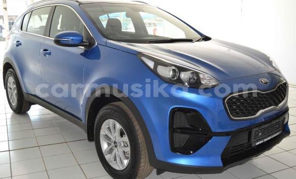 Tenga Tsaru Kia Sportage Bhuruu Mota in Beitbridge in Matabeleland South
