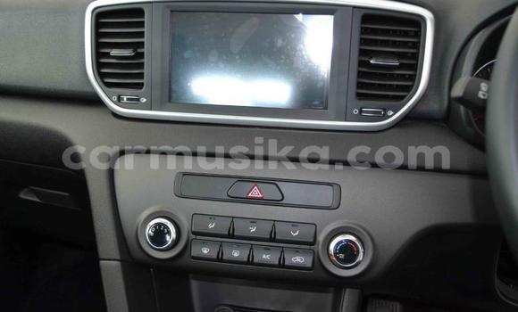 Buy Used Kia Sportage Blue Car in Beitbridge in Matabeleland South Buy Used Kia Sportage Blue Car in Beitbridge in Matabeleland South