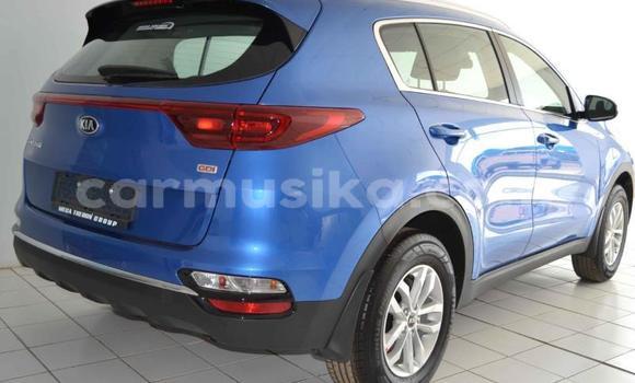 Buy Used Kia Sportage Blue Car in Beitbridge in Matabeleland South Buy Used Kia Sportage Blue Car in Beitbridge in Matabeleland South