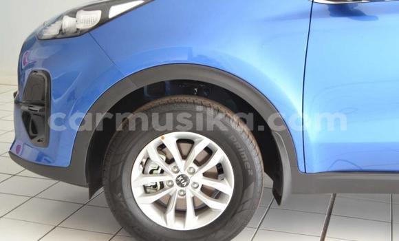 Buy Used Kia Sportage Blue Car in Beitbridge in Matabeleland South Buy Used Kia Sportage Blue Car in Beitbridge in Matabeleland South