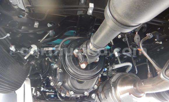 Tenga Tsaru Toyota Dyna Girinhi Rori in Beitbridge in Matabeleland South Tenga Tsaru Toyota Dyna Girinhi Rori in Beitbridge in Matabeleland South