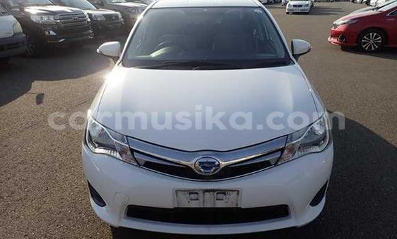 Tenga Tsaru Toyota Axio Chena Mota in Beitbridge in Matabeleland South