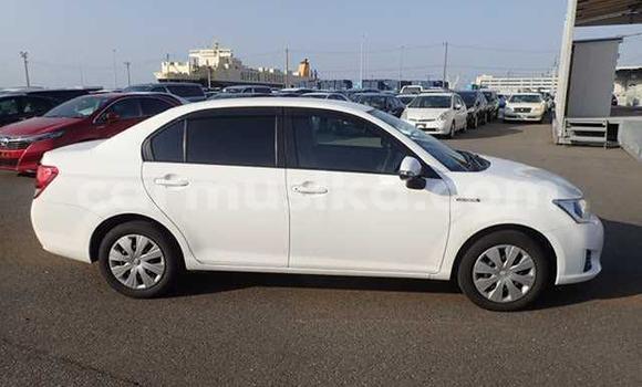 Acheter Occasion Voiture Toyota Axio Blanc à Beitbridge, Matabeleland South Acheter Occasion Voiture Toyota Axio Blanc à Beitbridge, Matabeleland South