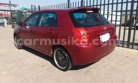 Buy Used Toyota Runx Red Car in Harare in Harare Buy Used Toyota Runx Red Car in Harare in Harare