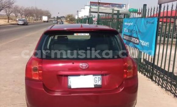 Buy Used Toyota Runx Red Car in Harare in Harare Buy Used Toyota Runx Red Car in Harare in Harare