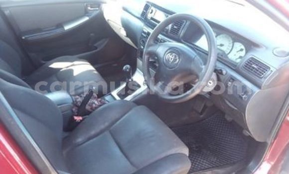 Buy Used Toyota Runx Red Car in Harare in Harare Buy Used Toyota Runx Red Car in Harare in Harare