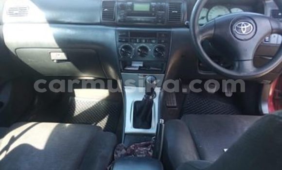 Buy Used Toyota Runx Red Car in Harare in Harare Buy Used Toyota Runx Red Car in Harare in Harare