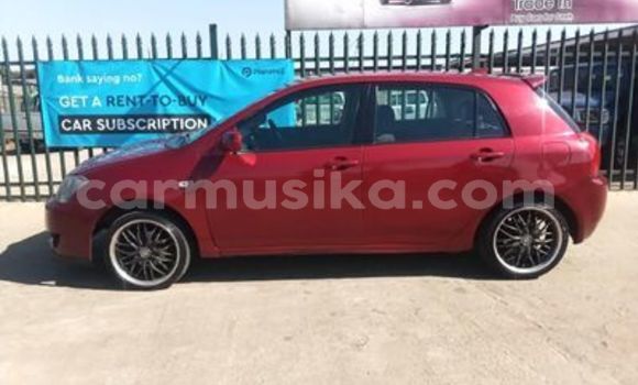 Buy Used Toyota Runx Red Car in Harare in Harare Buy Used Toyota Runx Red Car in Harare in Harare