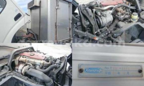 Tenga Tsaru Toyota Dyna Chena Rori in Beitbridge in Matabeleland South Tenga Tsaru Toyota Dyna Chena Rori in Beitbridge in Matabeleland South