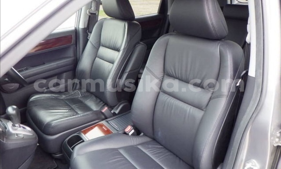 Acheter Occasion Voiture Honda CR–V Gris à Beitbridge, Matabeleland South Acheter Occasion Voiture Honda CR–V Gris à Beitbridge, Matabeleland South