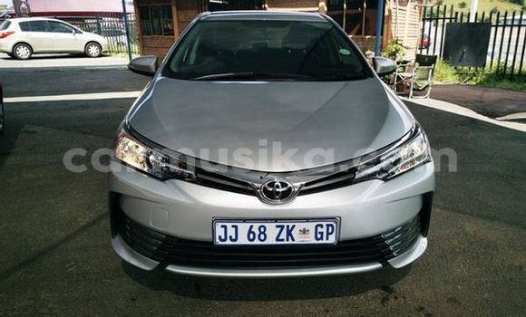 Acheter Occasion Voiture Toyota Corolla Gris à Beitbridge, Matabeleland South
