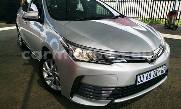 Buy Used Toyota Corolla Silver Car in Beitbridge in Matabeleland South Buy Used Toyota Corolla Silver Car in Beitbridge in Matabeleland South