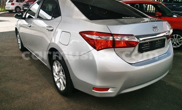 Buy Used Toyota Corolla Silver Car in Beitbridge in Matabeleland South Buy Used Toyota Corolla Silver Car in Beitbridge in Matabeleland South