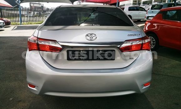 Buy Used Toyota Corolla Silver Car in Beitbridge in Matabeleland South Buy Used Toyota Corolla Silver Car in Beitbridge in Matabeleland South