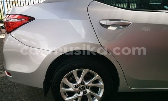 Buy Used Toyota Corolla Silver Car in Beitbridge in Matabeleland South Buy Used Toyota Corolla Silver Car in Beitbridge in Matabeleland South