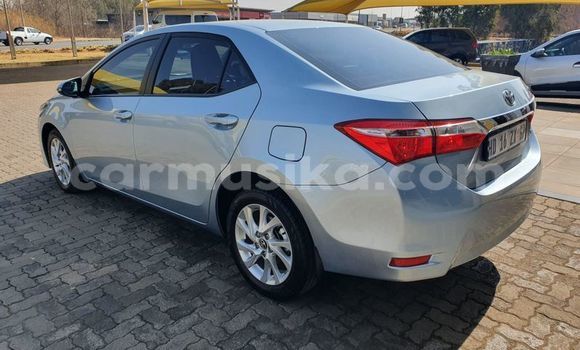 Buy Used Toyota Corolla Silver Car in Beitbridge in Matabeleland South Buy Used Toyota Corolla Silver Car in Beitbridge in Matabeleland South