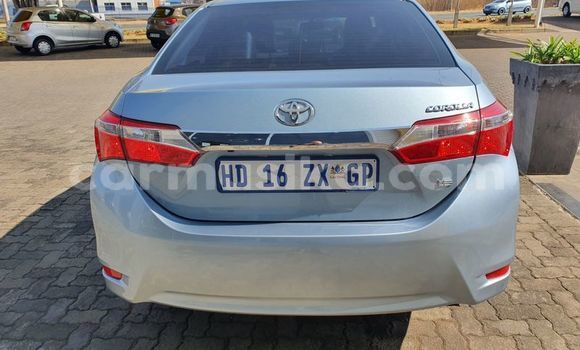Buy Used Toyota Corolla Silver Car in Beitbridge in Matabeleland South Buy Used Toyota Corolla Silver Car in Beitbridge in Matabeleland South