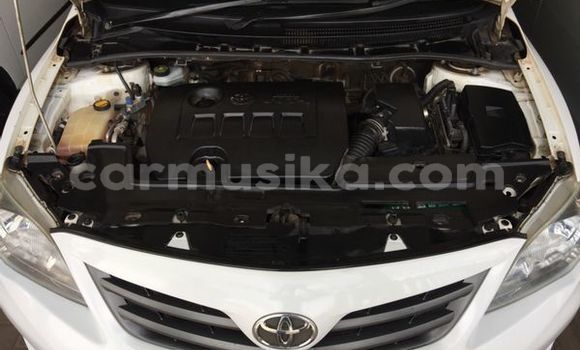 Tenga Tsaru Toyota Corolla Chena Mota in Beitbridge in Matabeleland South Tenga Tsaru Toyota Corolla Chena Mota in Beitbridge in Matabeleland South