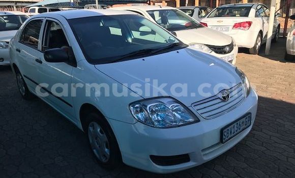 Buy Used Toyota Corolla White Car in Beitbridge in Matabeleland South Buy Used Toyota Corolla White Car in Beitbridge in Matabeleland South