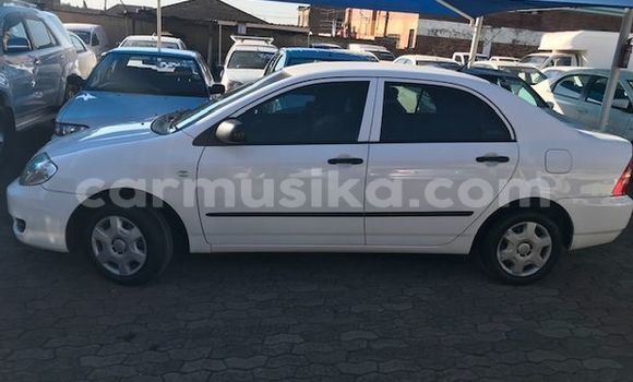 Buy Used Toyota Corolla White Car in Beitbridge in Matabeleland South Buy Used Toyota Corolla White Car in Beitbridge in Matabeleland South
