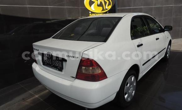 Nunua Ilio tumika Toyota Corolla Nyeupe Gari ndani ya Beitbridge nchini Matabeleland Kusini