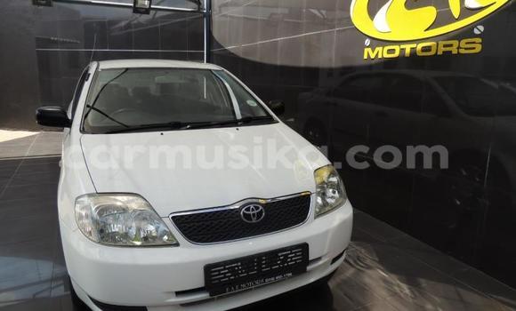 Buy Used Toyota Corolla White Car in Beitbridge in Matabeleland South Buy Used Toyota Corolla White Car in Beitbridge in Matabeleland South