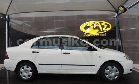 Buy Used Toyota Corolla White Car in Beitbridge in Matabeleland South Buy Used Toyota Corolla White Car in Beitbridge in Matabeleland South