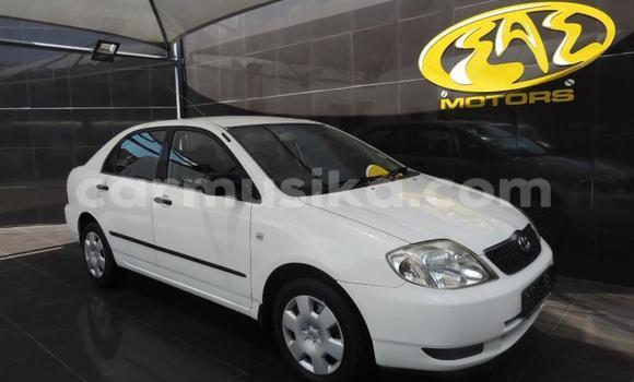 Buy Used Toyota Corolla White Car in Beitbridge in Matabeleland South Buy Used Toyota Corolla White Car in Beitbridge in Matabeleland South