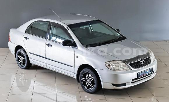 Buy Used Toyota Corolla White Car in Beitbridge in Matabeleland South Buy Used Toyota Corolla White Car in Beitbridge in Matabeleland South