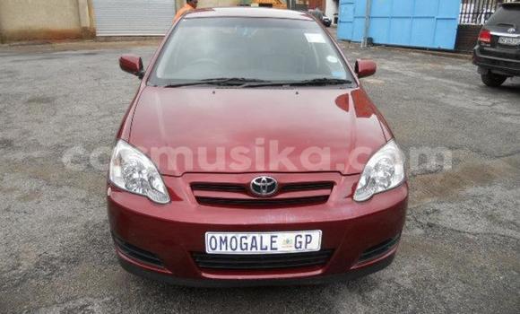 Tenga Tsaru Toyota Runx Tsvuku Mota in Beitbridge in Matabeleland South Tenga Tsaru Toyota Runx Tsvuku Mota in Beitbridge in Matabeleland South