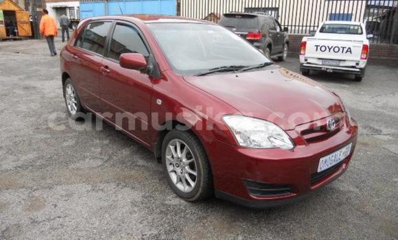 Tenga Tsaru Toyota Runx Tsvuku Mota in Beitbridge in Matabeleland South Tenga Tsaru Toyota Runx Tsvuku Mota in Beitbridge in Matabeleland South