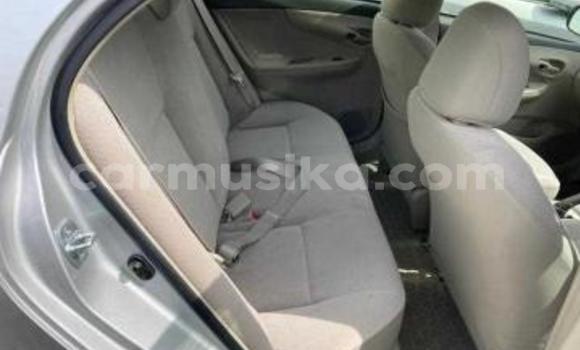 Tenga Tsaru Toyota Axio Sirivha Mota in Beitbridge in Matabeleland South Tenga Tsaru Toyota Axio Sirivha Mota in Beitbridge in Matabeleland South