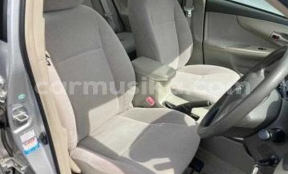 Tenga Tsaru Toyota Axio Sirivha Mota in Beitbridge in Matabeleland South Tenga Tsaru Toyota Axio Sirivha Mota in Beitbridge in Matabeleland South