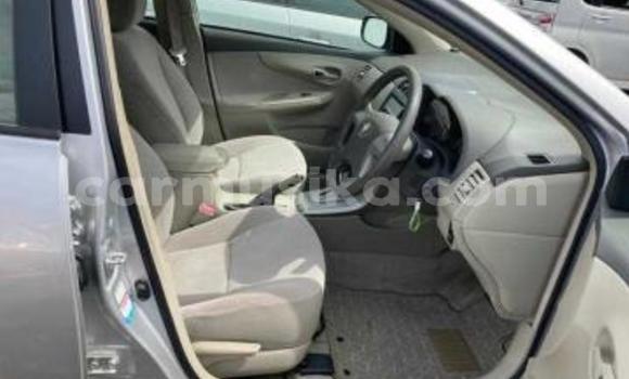 Tenga Tsaru Toyota Axio Sirivha Mota in Beitbridge in Matabeleland South Tenga Tsaru Toyota Axio Sirivha Mota in Beitbridge in Matabeleland South