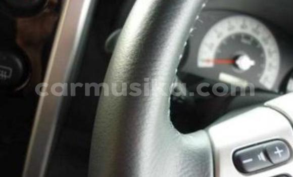 Tenga Tsaru Toyota FJ Cruiser Nhema Mota in Beitbridge in Matabeleland South Tenga Tsaru Toyota FJ Cruiser Nhema Mota in Beitbridge in Matabeleland South