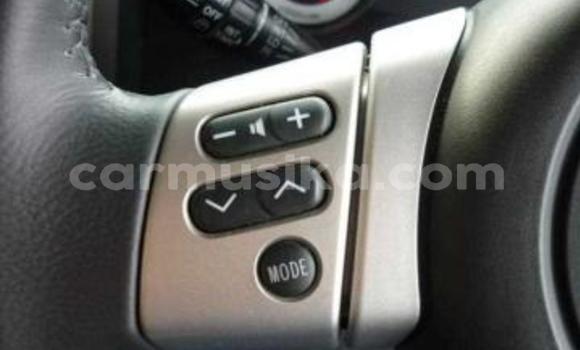 Tenga Tsaru Toyota FJ Cruiser Nhema Mota in Beitbridge in Matabeleland South Tenga Tsaru Toyota FJ Cruiser Nhema Mota in Beitbridge in Matabeleland South