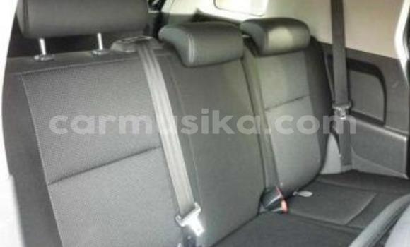 Tenga Tsaru Toyota FJ Cruiser Nhema Mota in Beitbridge in Matabeleland South Tenga Tsaru Toyota FJ Cruiser Nhema Mota in Beitbridge in Matabeleland South