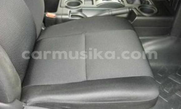 Tenga Tsaru Toyota FJ Cruiser Nhema Mota in Beitbridge in Matabeleland South Tenga Tsaru Toyota FJ Cruiser Nhema Mota in Beitbridge in Matabeleland South