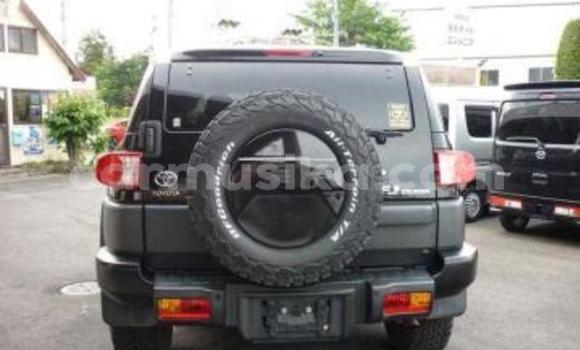 Tenga Tsaru Toyota FJ Cruiser Nhema Mota in Beitbridge in Matabeleland South Tenga Tsaru Toyota FJ Cruiser Nhema Mota in Beitbridge in Matabeleland South