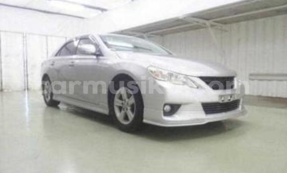 Tenga Tsaru Toyota Mark X Sirivha Mota in Beitbridge in Matabeleland South