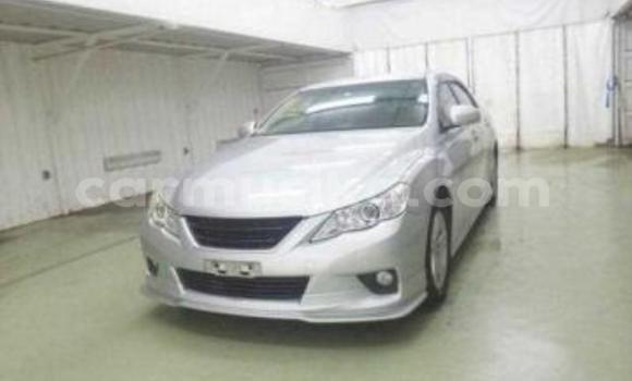 Acheter Occasion Voiture Toyota Mark X Gris à Beitbridge, Matabeleland South Acheter Occasion Voiture Toyota Mark X Gris à Beitbridge, Matabeleland South