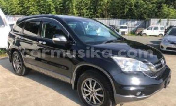 Buy Used Honda CR–V Black Car in Beitbridge in Matabeleland South Buy Used Honda CR–V Black Car in Beitbridge in Matabeleland South