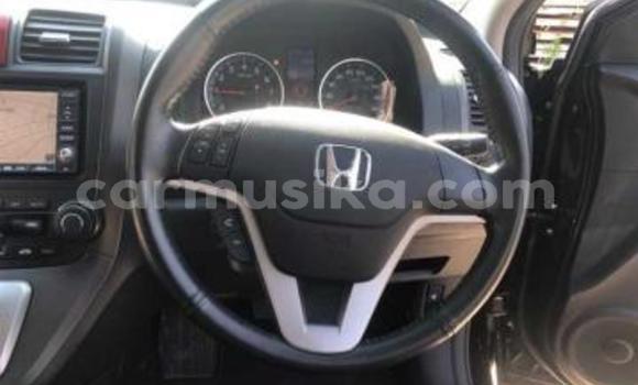 Acheter Occasion Voiture Honda CR–V Noir à Beitbridge, Matabeleland South Acheter Occasion Voiture Honda CR–V Noir à Beitbridge, Matabeleland South