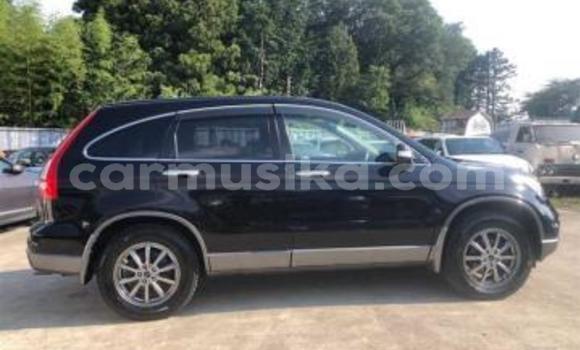 Acheter Occasion Voiture Honda CR–V Noir à Beitbridge, Matabeleland South Acheter Occasion Voiture Honda CR–V Noir à Beitbridge, Matabeleland South