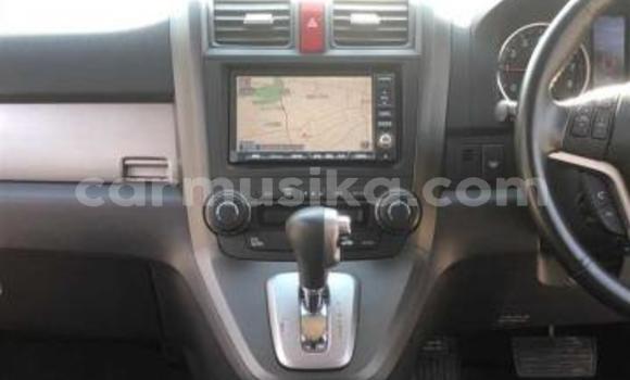 Acheter Occasion Voiture Honda CR–V Noir à Beitbridge, Matabeleland South Acheter Occasion Voiture Honda CR–V Noir à Beitbridge, Matabeleland South