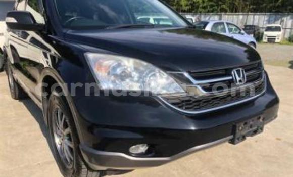 Acheter Occasion Voiture Honda CR–V Noir à Beitbridge, Matabeleland South Acheter Occasion Voiture Honda CR–V Noir à Beitbridge, Matabeleland South