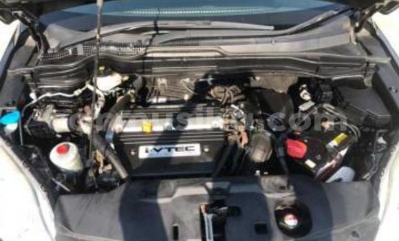 Acheter Occasion Voiture Honda CR–V Noir à Beitbridge, Matabeleland South Acheter Occasion Voiture Honda CR–V Noir à Beitbridge, Matabeleland South