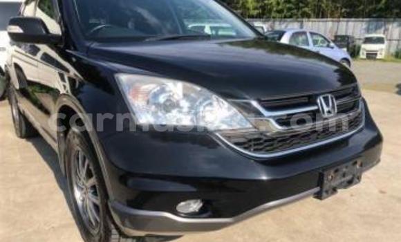 Acheter Occasion Voiture Honda CR–V Noir à Beitbridge, Matabeleland South Acheter Occasion Voiture Honda CR–V Noir à Beitbridge, Matabeleland South