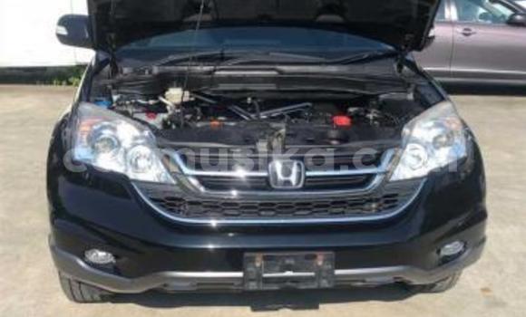 Acheter Occasion Voiture Honda CR–V Noir à Beitbridge, Matabeleland South Acheter Occasion Voiture Honda CR–V Noir à Beitbridge, Matabeleland South